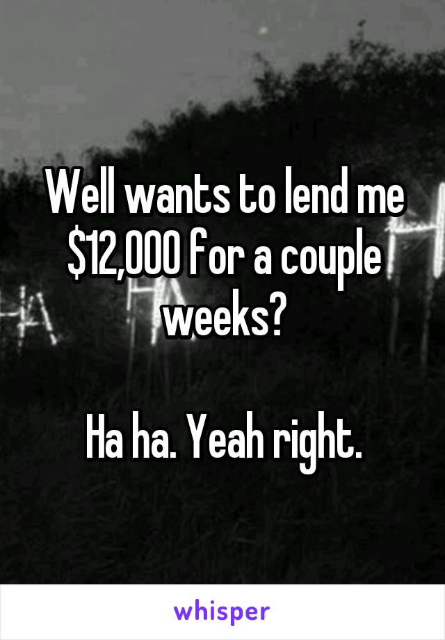 Well wants to lend me $12,000 for a couple weeks?

Ha ha. Yeah right.