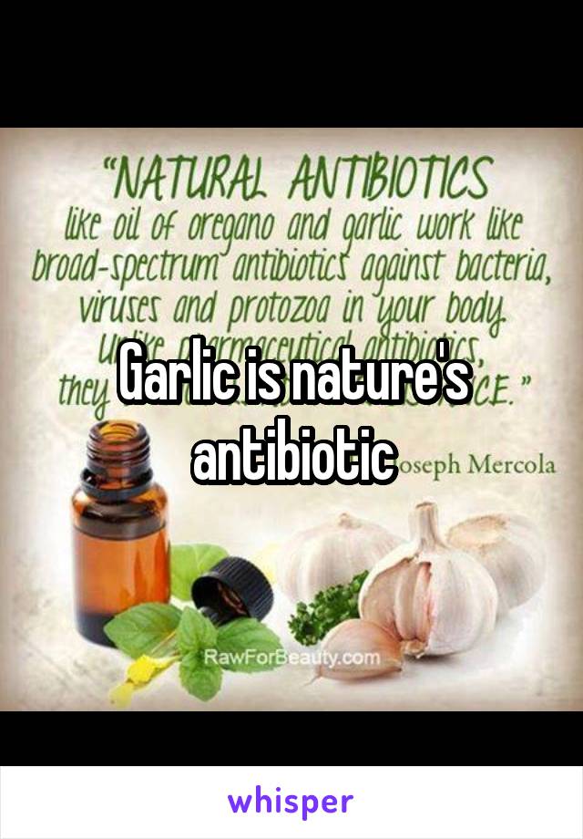 Garlic is nature's antibiotic