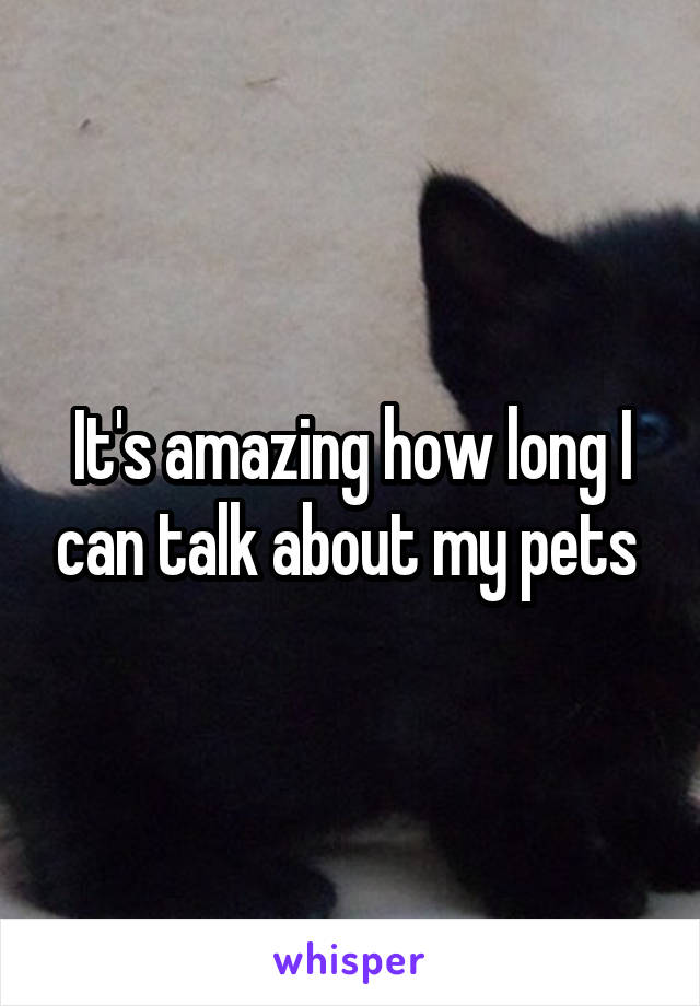 It's amazing how long I can talk about my pets 