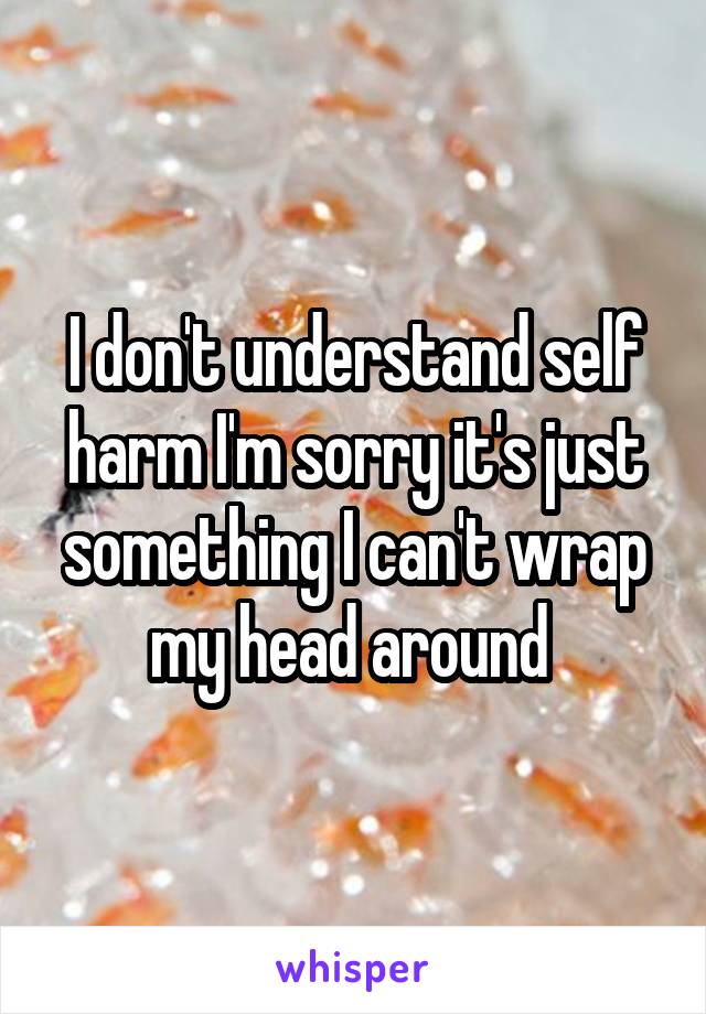 I don't understand self harm I'm sorry it's just something I can't wrap my head around 