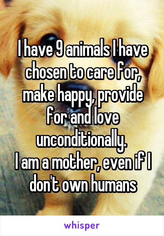 I have 9 animals I have chosen to care for, make happy, provide for and love unconditionally. 
I am a mother, even if I don't own humans