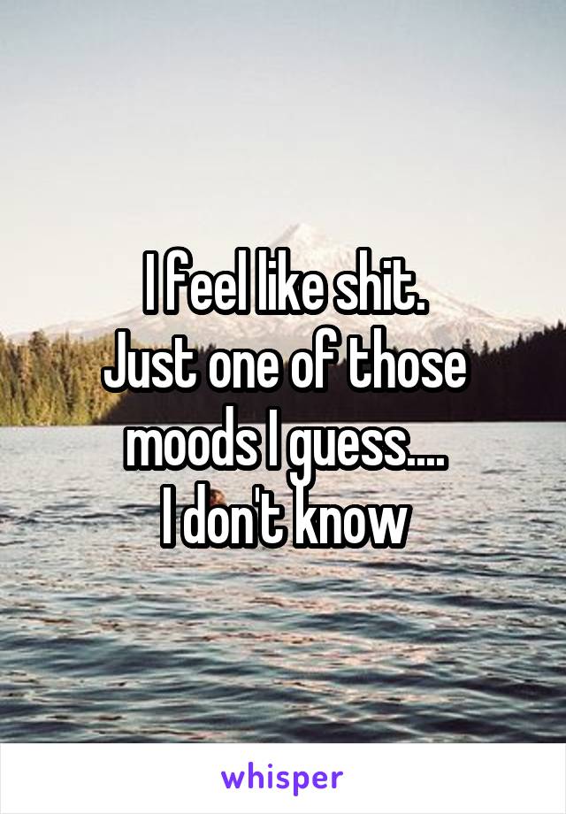 I feel like shit.
Just one of those moods I guess....
I don't know