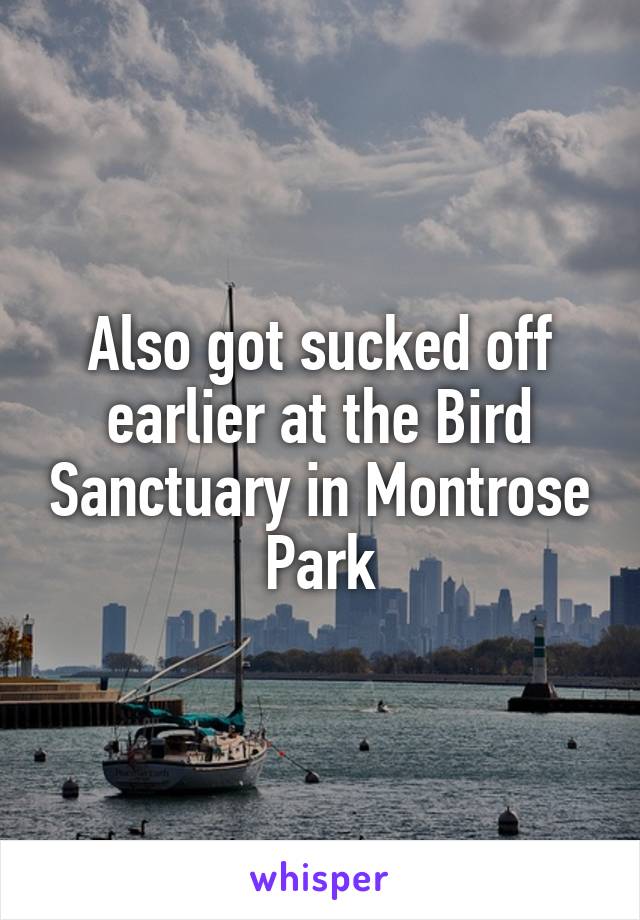 Also got sucked off earlier at the Bird Sanctuary in Montrose Park