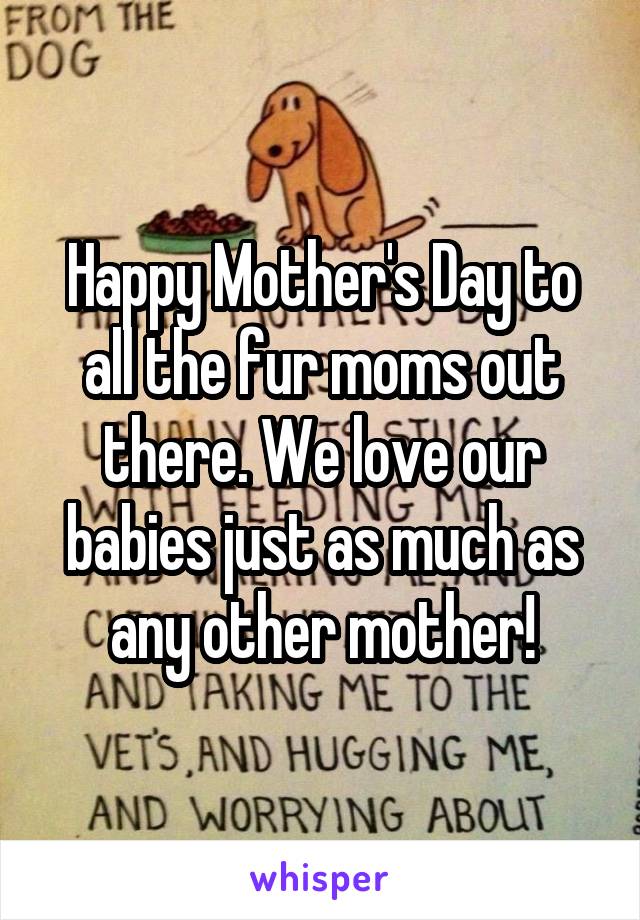 Happy Mother's Day to all the fur moms out there. We love our babies just as much as any other mother!