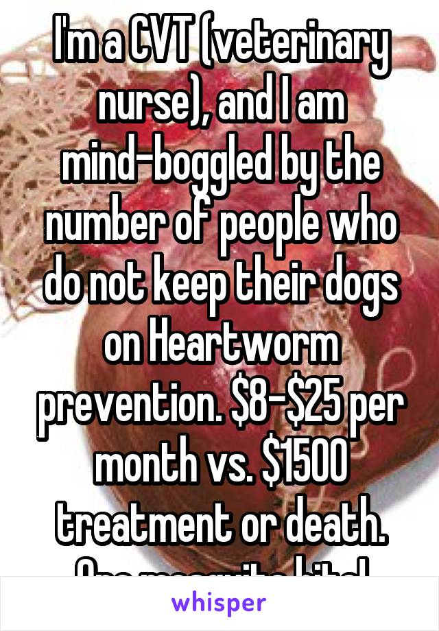 I'm a CVT (veterinary nurse), and I am mind-boggled by the number of people who do not keep their dogs on Heartworm prevention. $8-$25 per month vs. $1500 treatment or death. One mosquito bite!