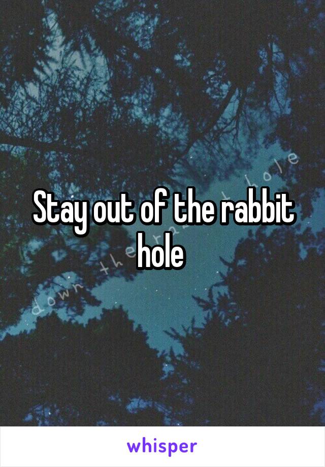 Stay out of the rabbit hole 