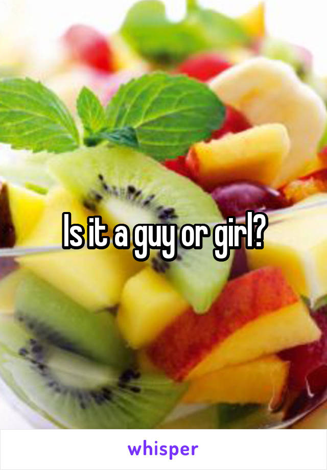 Is it a guy or girl?