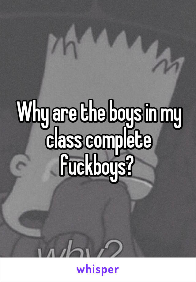 Why are the boys in my class complete fuckboys? 