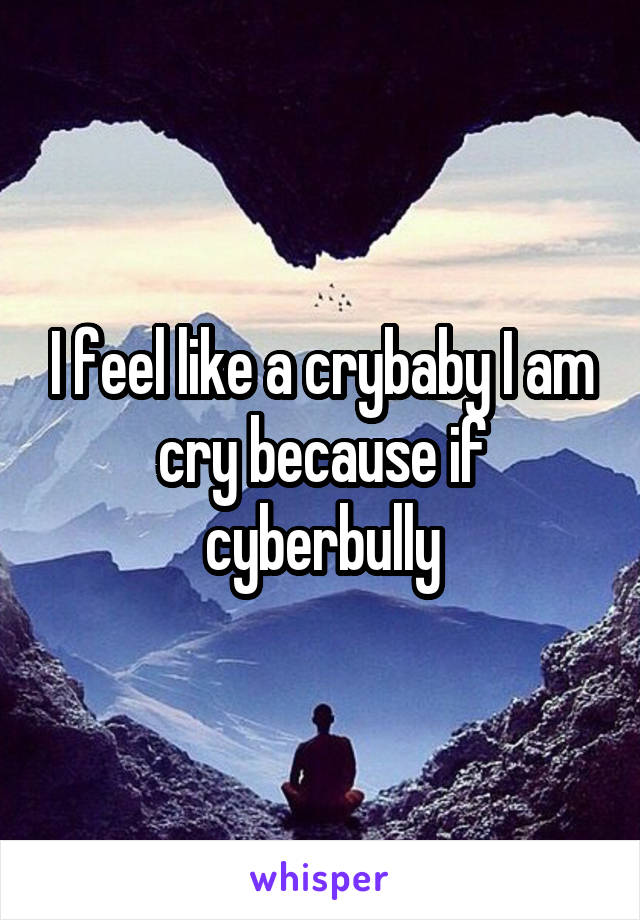 I feel like a crybaby I am cry because if cyberbully