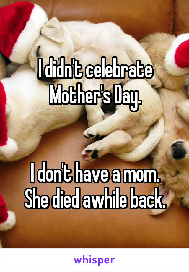 I didn't celebrate Mother's Day.


I don't have a mom.
She died awhile back.