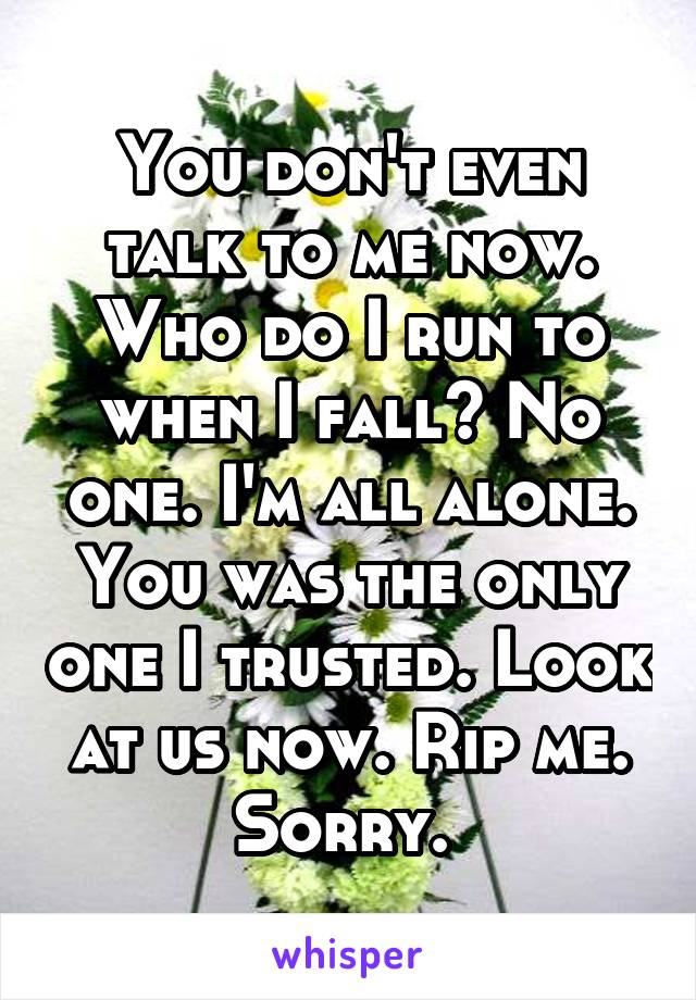 You don't even talk to me now. Who do I run to when I fall? No one. I'm all alone. You was the only one I trusted. Look at us now. Rip me. Sorry. 