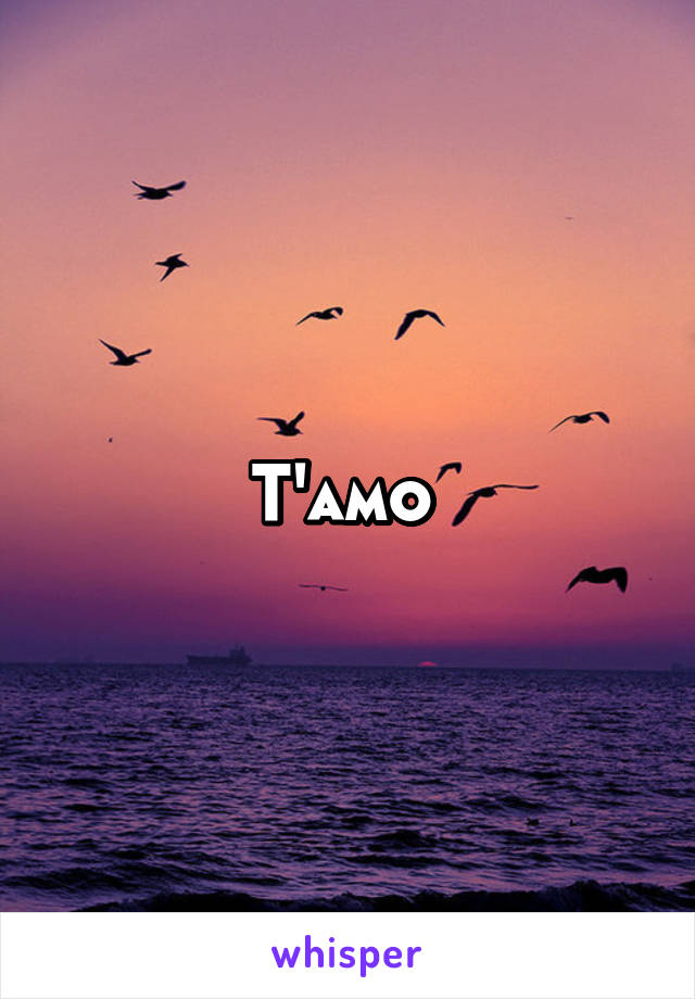 T'amo 