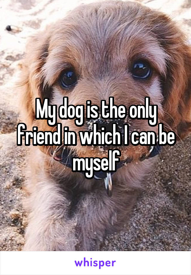 My dog is the only friend in which I can be myself