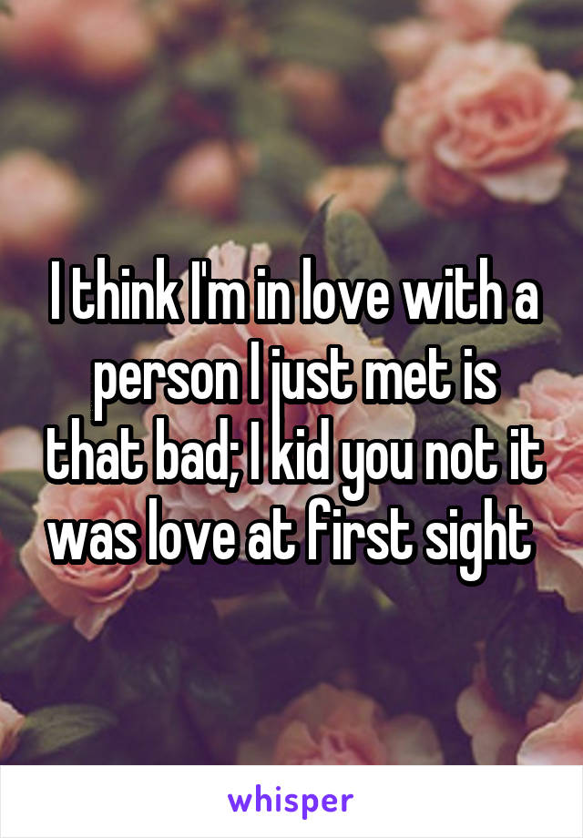 I think I'm in love with a person I just met is that bad; I kid you not it was love at first sight 