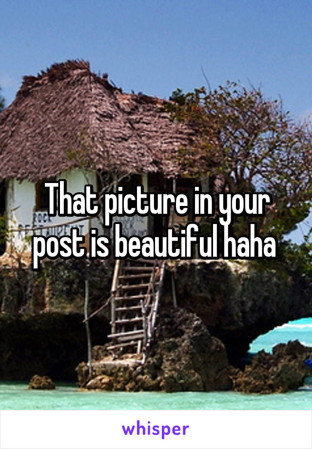 That picture in your post is beautiful haha 