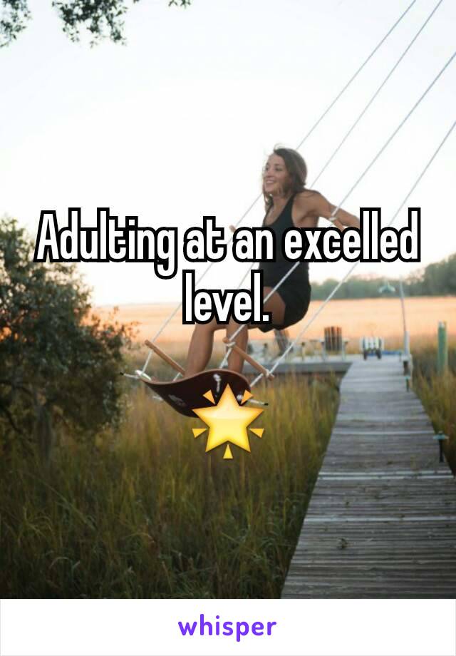 Adulting at an excelled level.

🌟