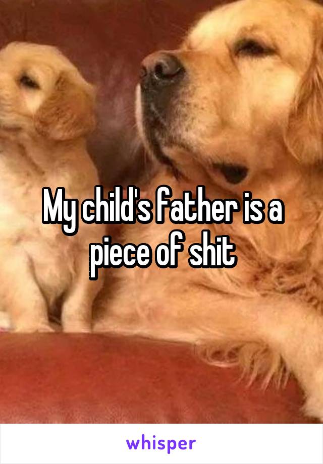 My child's father is a piece of shit