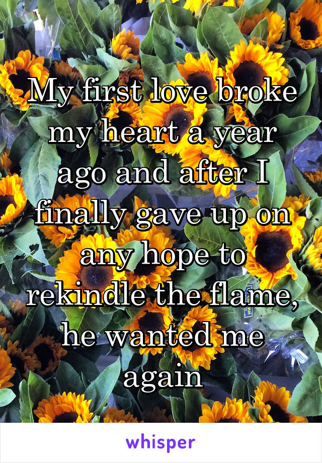 My first love broke my heart a year ago and after I finally gave up on any hope to rekindle the flame, he wanted me again