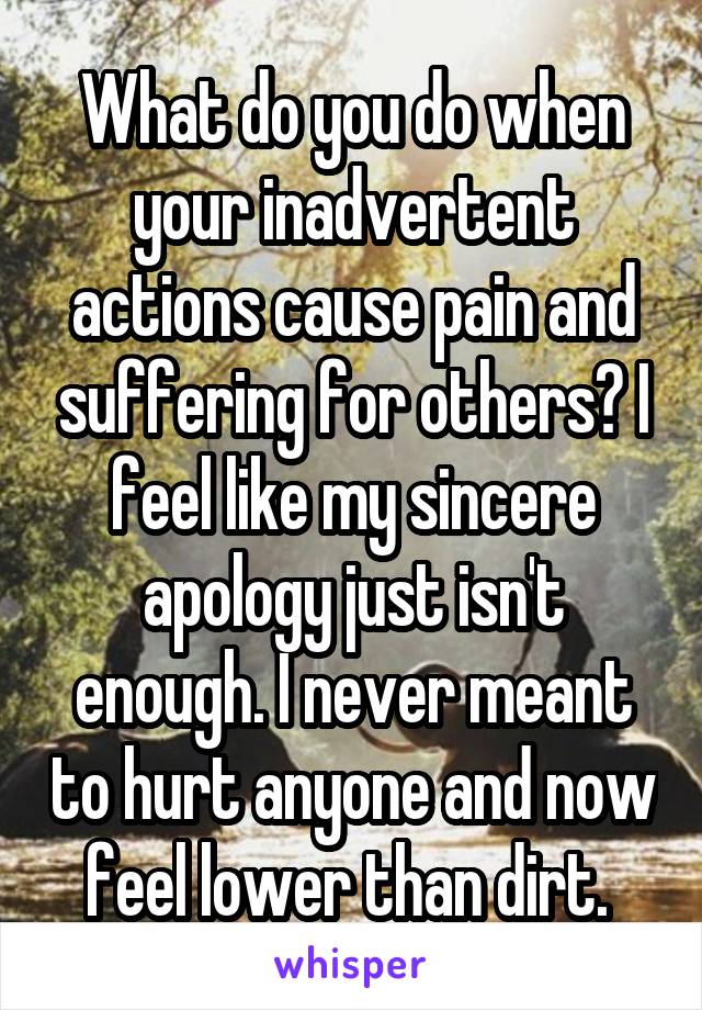 What do you do when your inadvertent actions cause pain and suffering for others? I feel like my sincere apology just isn't enough. I never meant to hurt anyone and now feel lower than dirt. 