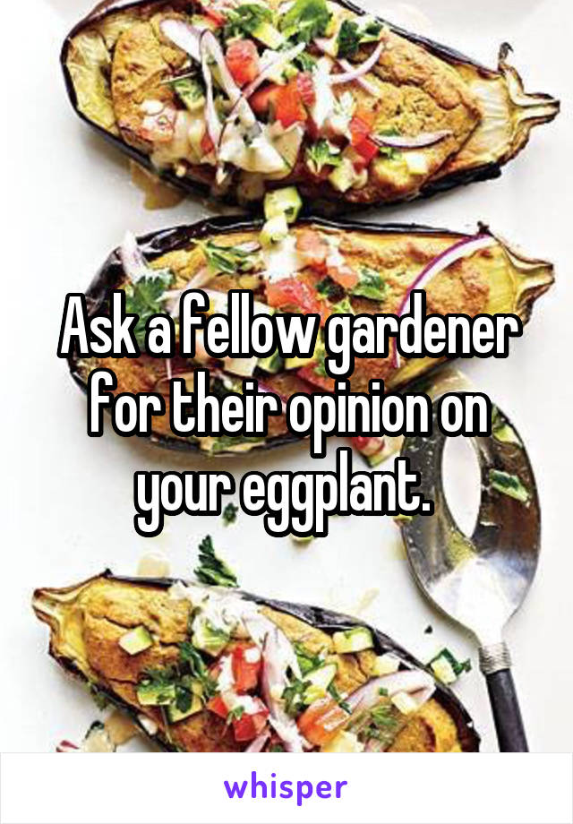 Ask a fellow gardener for their opinion on your eggplant. 