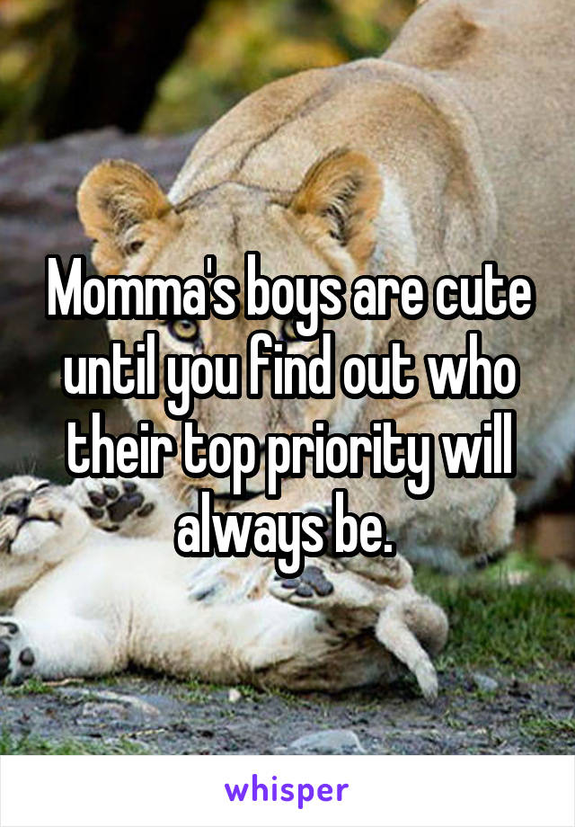 Momma's boys are cute until you find out who their top priority will always be. 