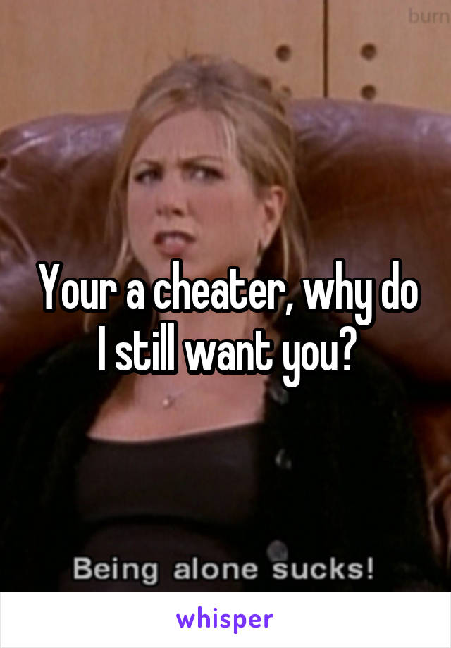 Your a cheater, why do I still want you?