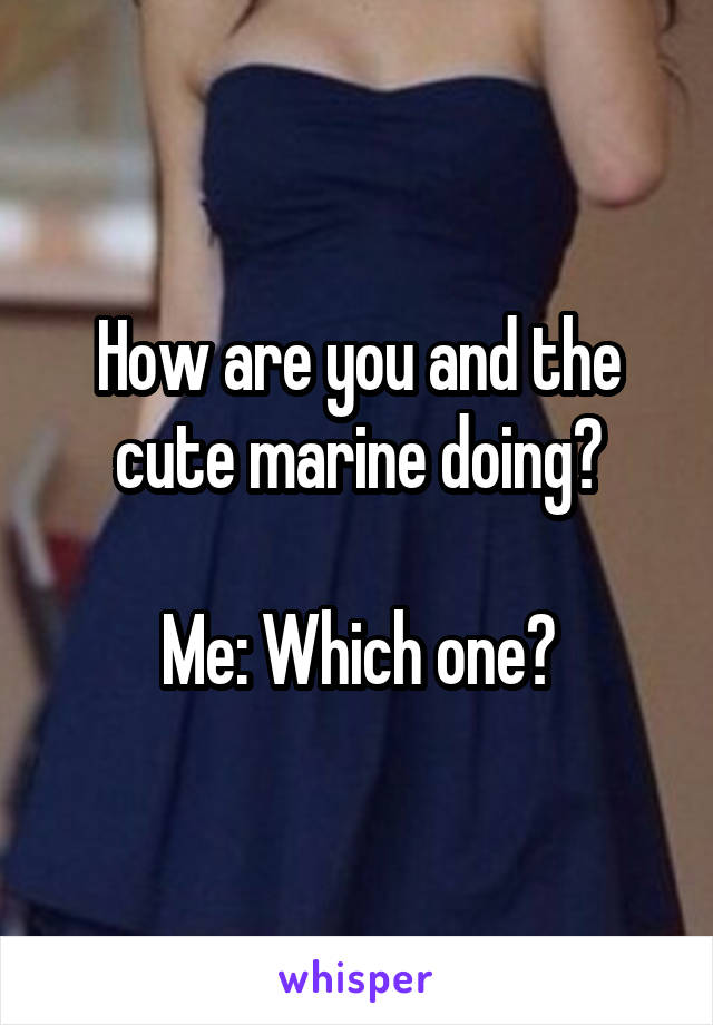 How are you and the cute marine doing?

Me: Which one?