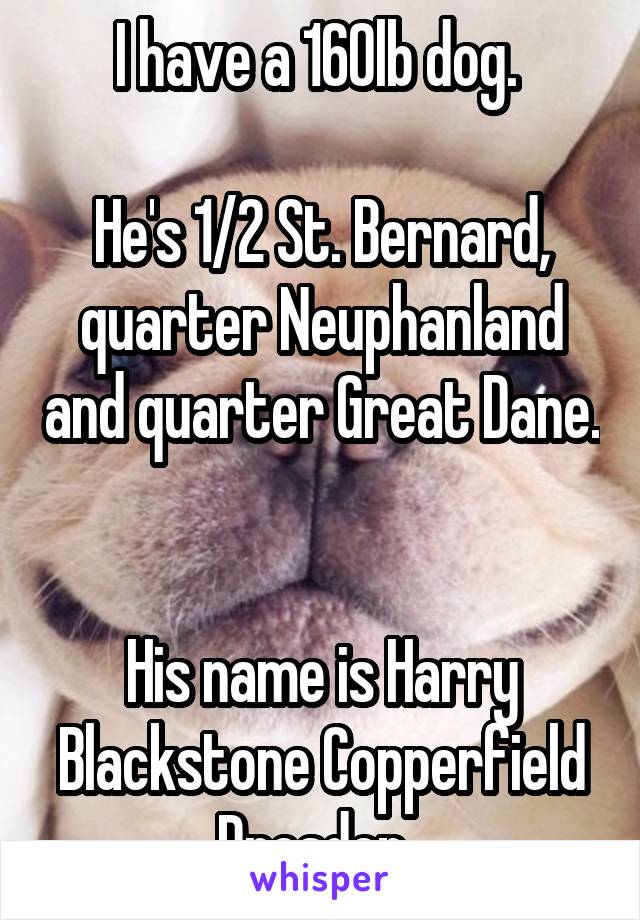 I have a 160lb dog. 

He's 1/2 St. Bernard, quarter Neuphanland and quarter Great Dane. 

His name is Harry Blackstone Copperfield Dresden. 