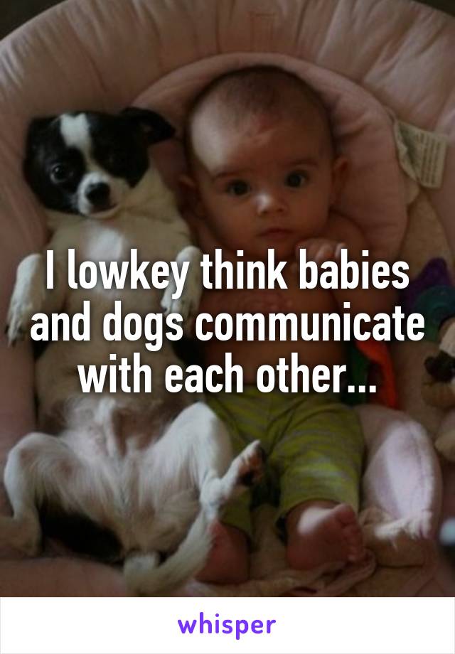 I lowkey think babies and dogs communicate with each other...