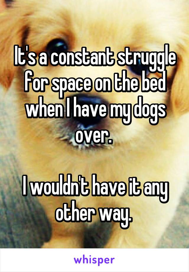 It's a constant struggle for space on the bed when I have my dogs over. 

I wouldn't have it any other way. 