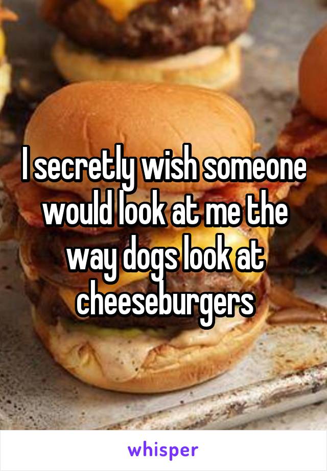 I secretly wish someone would look at me the way dogs look at cheeseburgers