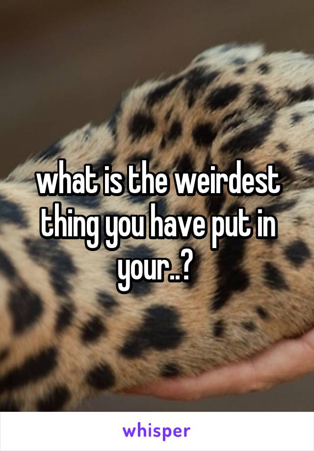 what is the weirdest thing you have put in your..? 