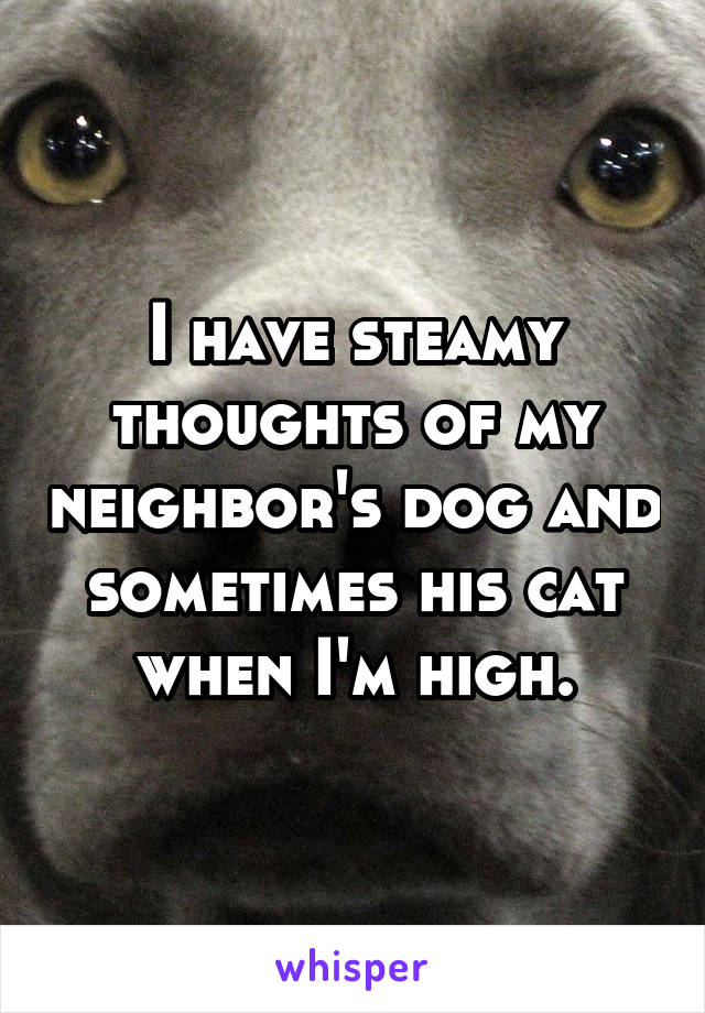 I have steamy thoughts of my neighbor's dog and sometimes his cat when I'm high.