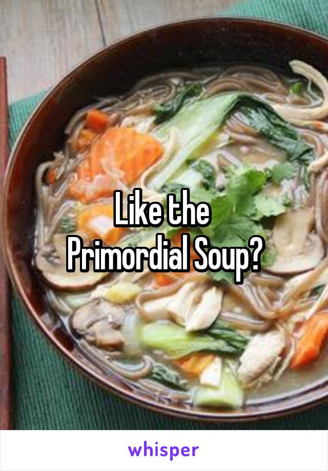 Like the 
Primordial Soup?