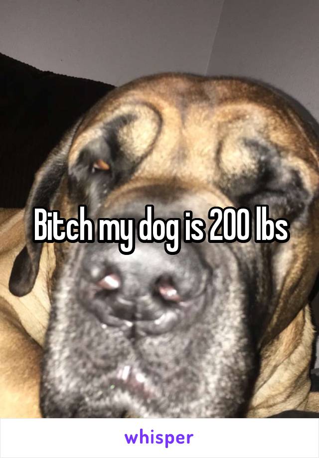 Bitch my dog is 200 lbs