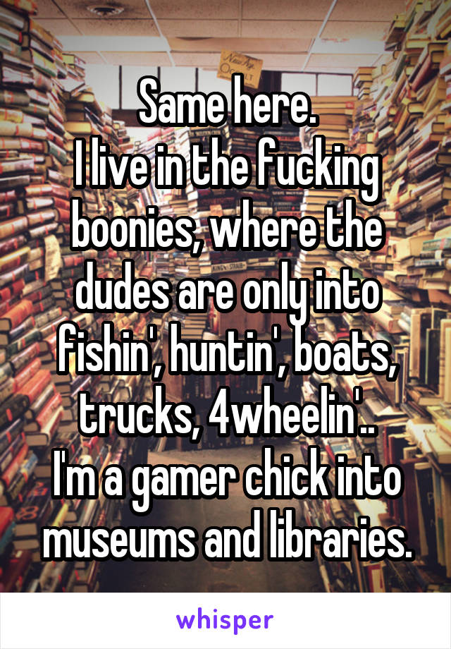 Same here.
I live in the fucking boonies, where the dudes are only into fishin', huntin', boats, trucks, 4wheelin'..
I'm a gamer chick into museums and libraries.