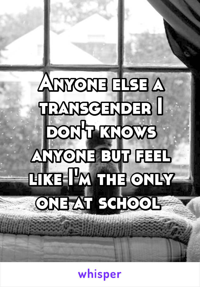 Anyone else a transgender I don't knows anyone but feel like I'm the only one at school 