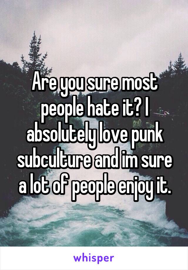 Are you sure most people hate it? I absolutely love punk subculture and im sure a lot of people enjoy it.