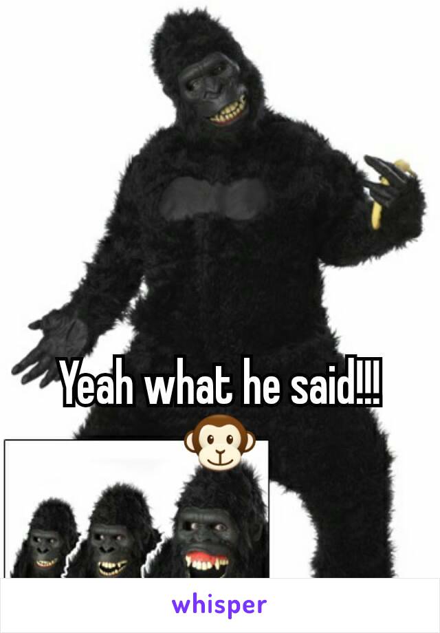 Yeah what he said!!!🐵