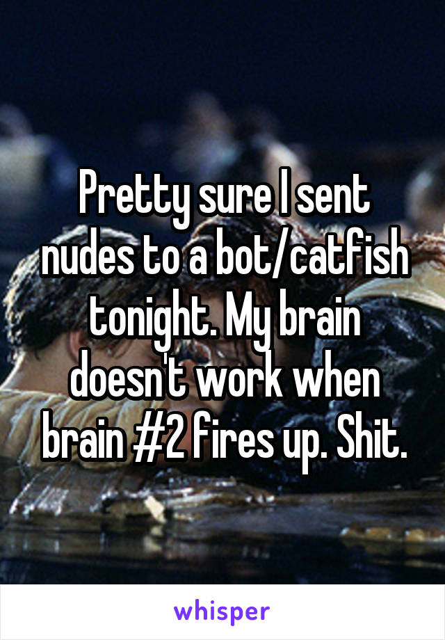 Pretty sure I sent nudes to a bot/catfish tonight. My brain doesn't work when brain #2 fires up. Shit.