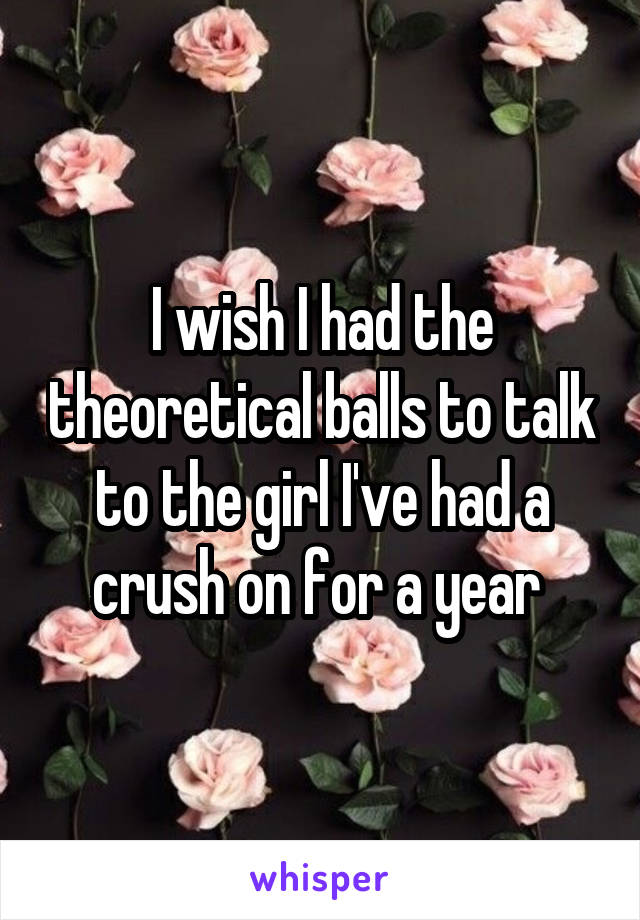 I wish I had the theoretical balls to talk to the girl I've had a crush on for a year 