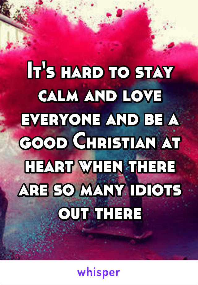 It's hard to stay calm and love everyone and be a good Christian at heart when there are so many idiots out there