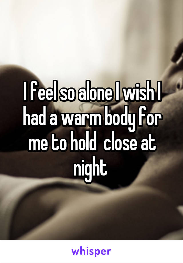 I feel so alone I wish I had a warm body for me to hold  close at night 