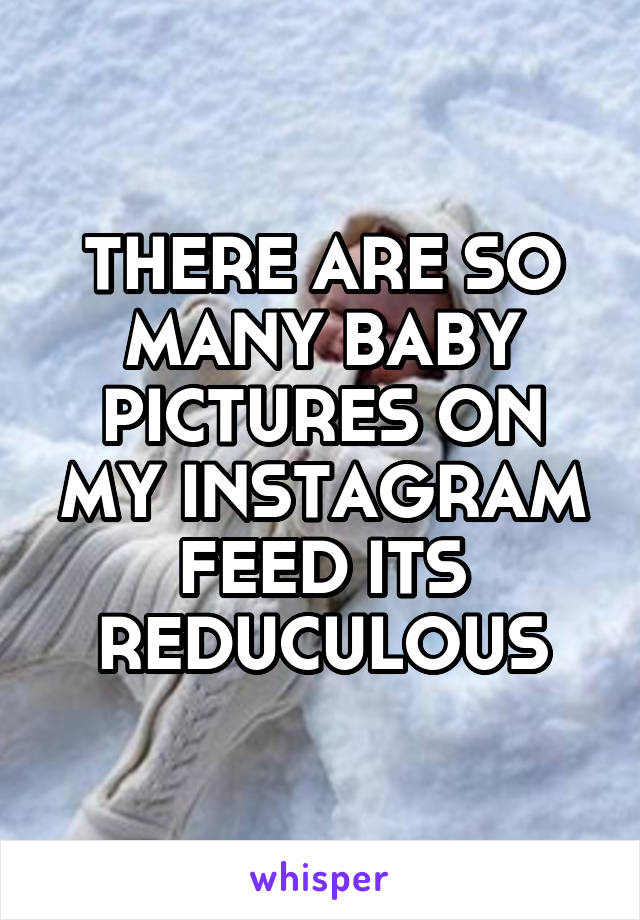 THERE ARE SO MANY BABY PICTURES ON MY INSTAGRAM FEED ITS REDUCULOUS