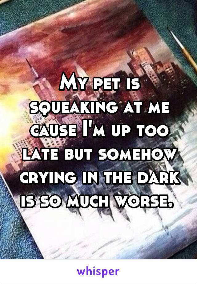 My pet is squeaking at me cause I'm up too late but somehow crying in the dark is so much worse. 