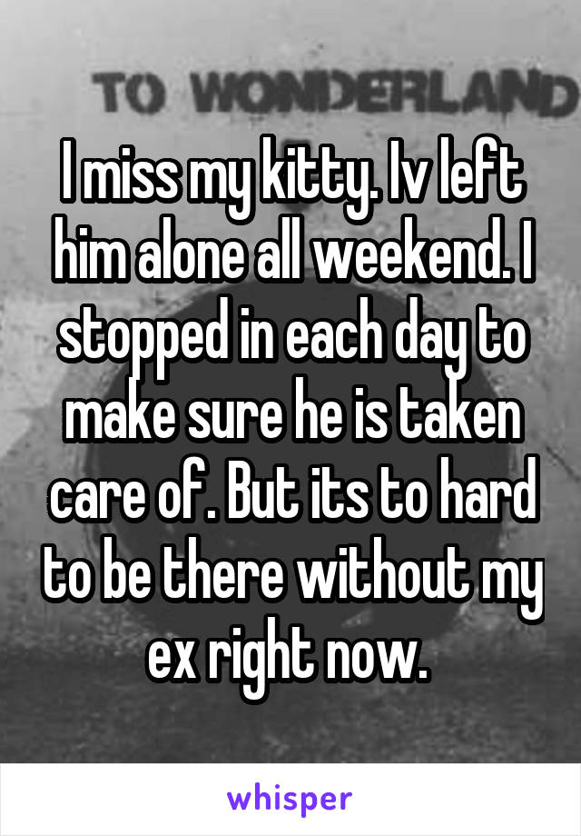 I miss my kitty. Iv left him alone all weekend. I stopped in each day to make sure he is taken care of. But its to hard to be there without my ex right now. 