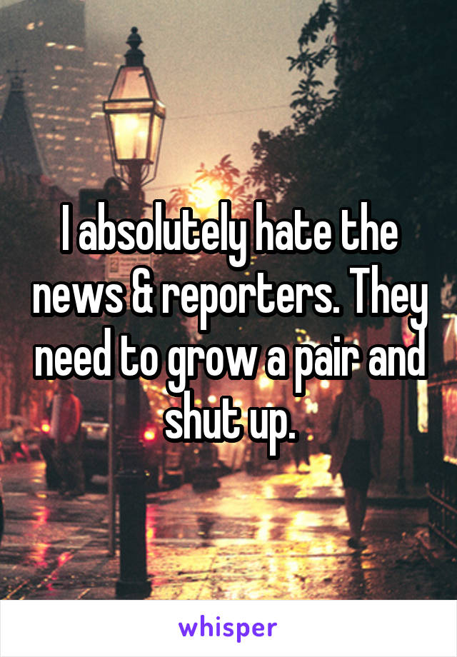 I absolutely hate the news & reporters. They need to grow a pair and shut up.