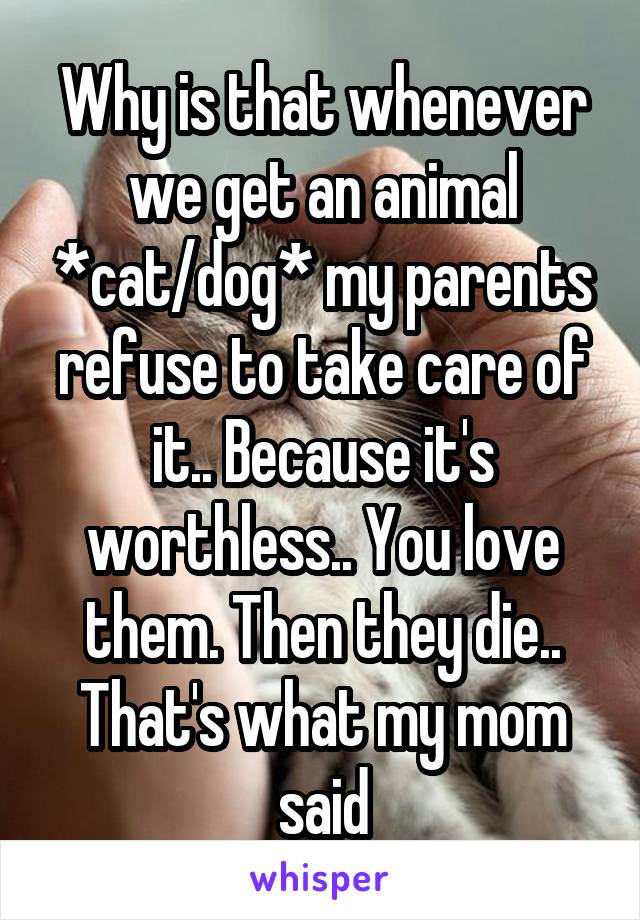 Why is that whenever we get an animal *cat/dog* my parents refuse to take care of it.. Because it's worthless.. You love them. Then they die.. That's what my mom said