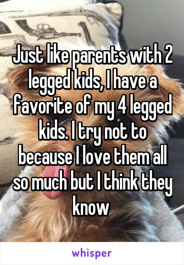 Just like parents with 2 legged kids, I have a favorite of my 4 legged kids. I try not to because I love them all so much but I think they know 