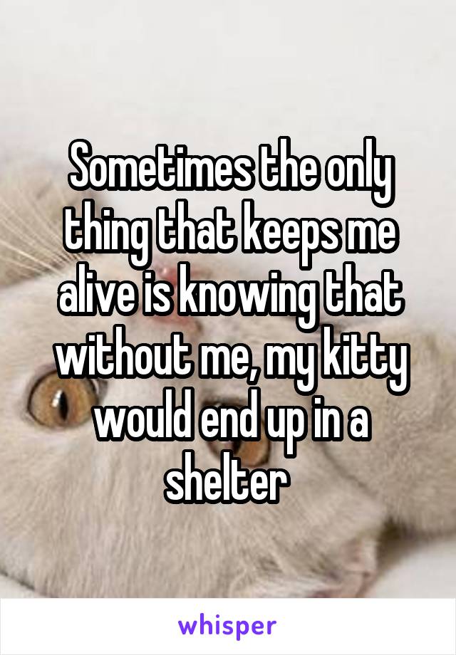 Sometimes the only thing that keeps me alive is knowing that without me, my kitty would end up in a shelter 